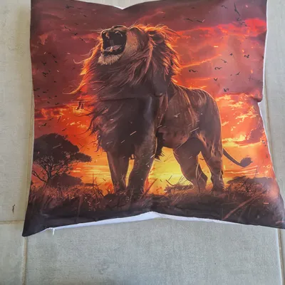 Magnifique housse de coussin 45x45cm 